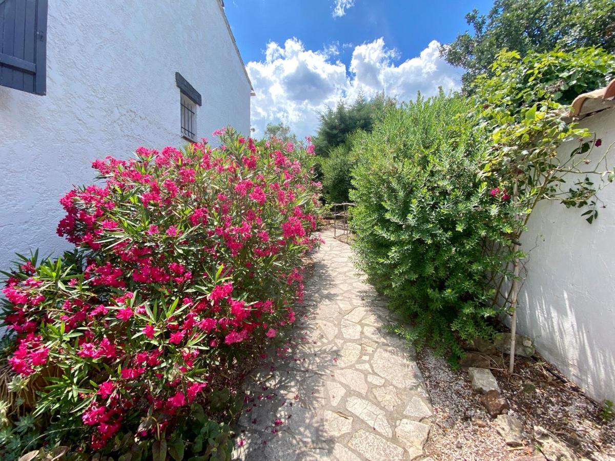 Chambres d'Hôtes Le Mas du Bijou Bleu Puget-sur Argens Exterior foto