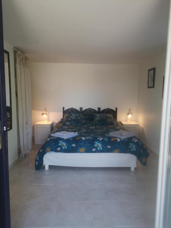 Chambres d'Hôtes Le Mas du Bijou Bleu Puget-sur Argens Exterior foto
